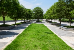 largo-vacio-senda-moderno-ciudad-cuadrado-contorno