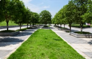 largo-vacio-senda-moderno-ciudad-cuadrado-contorno